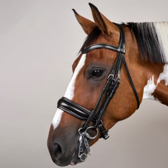 Weymouth Bridle Matt WC Black