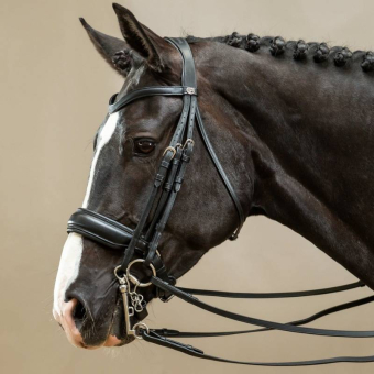 Matte Double Bridle Working Collection Black