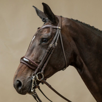 Patent Double Bridle Working Collection Brown