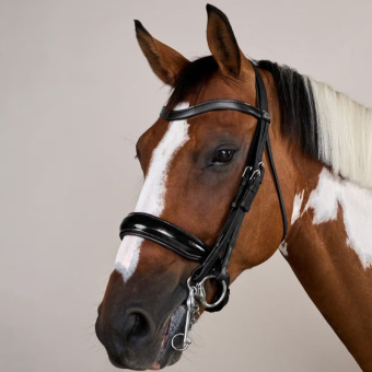 Weymouth Bridle Glossy WC Black
