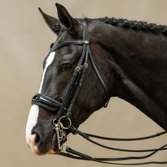 Patent Double Bridle Working Collection Black