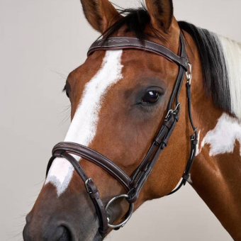 Combined Noseband Bridle WC Brown