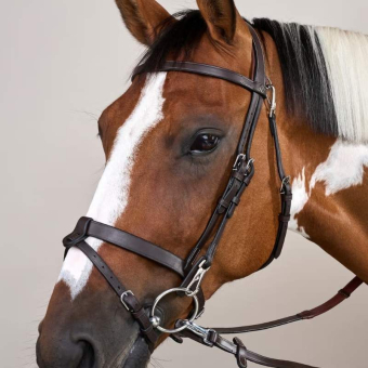 Smooth Noseband Bridle WC Brown