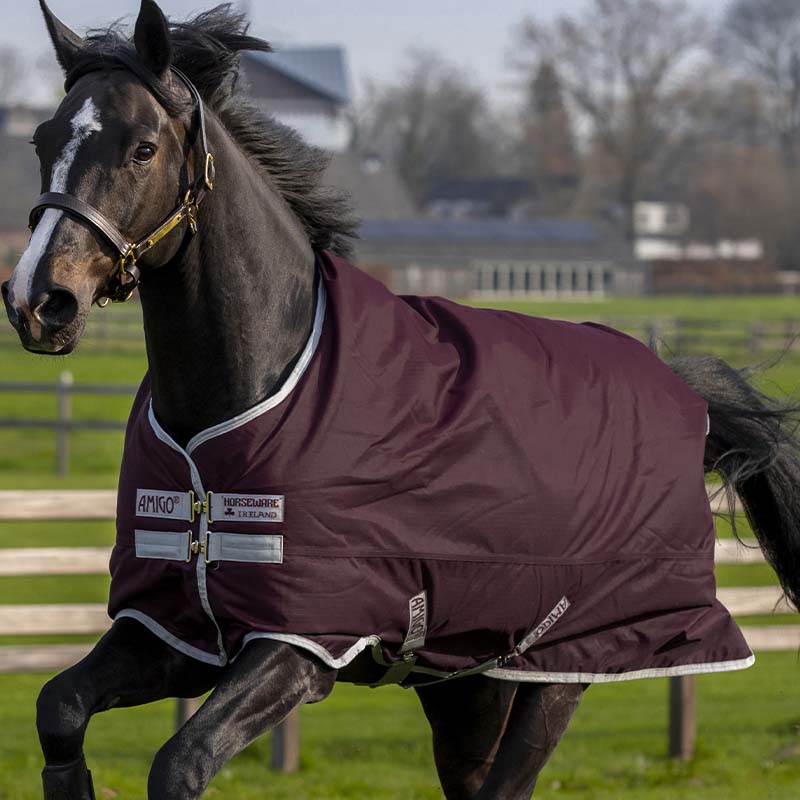 Horseware Rain Sheet Amigo Hero Ripstop 50g Burgundy → Equinest