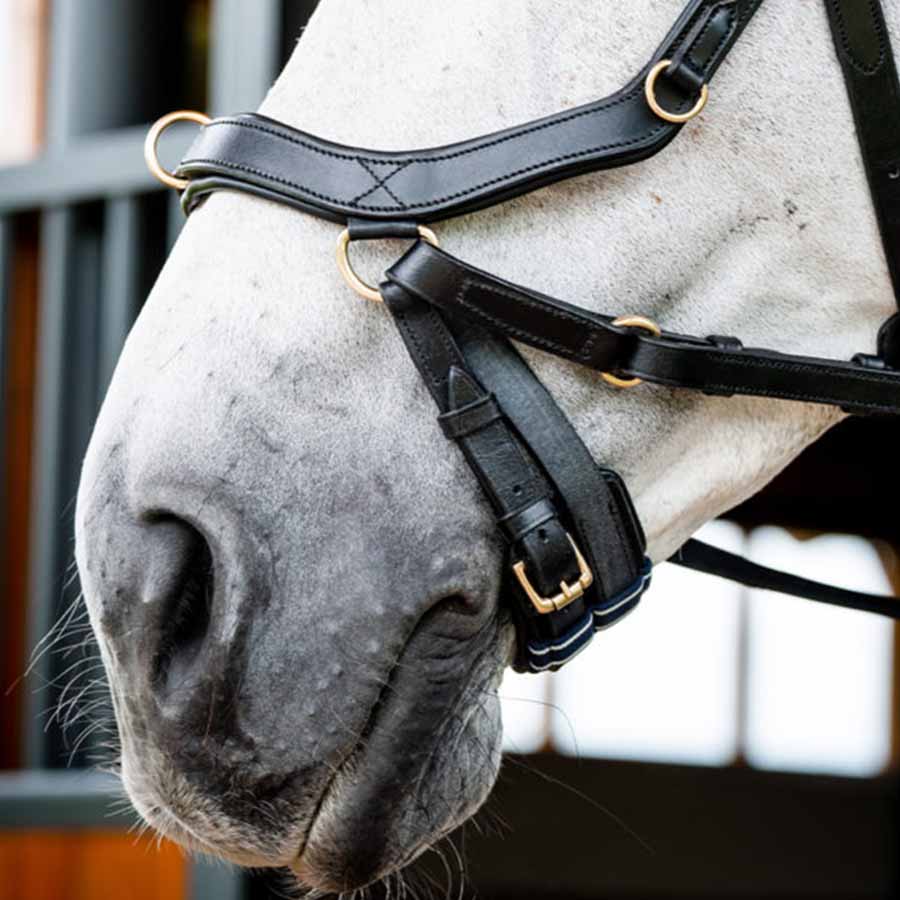 headpiece for horses