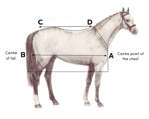 Horseware blanket size chart