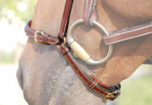 Removable Noseband without Headstall Brown C