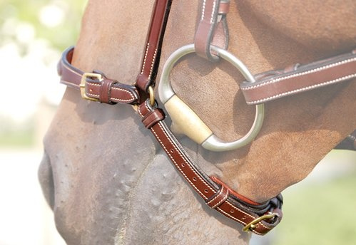 Removable Noseband without Headstall Brown