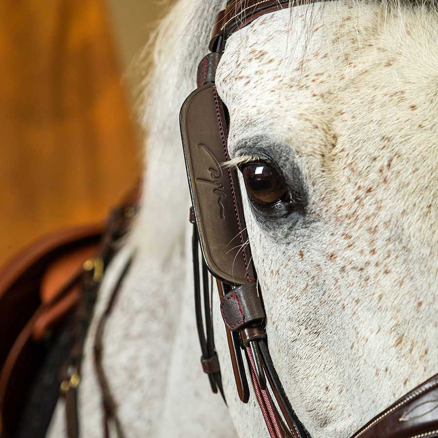 Focus / Blinkers 2 pieces Brown