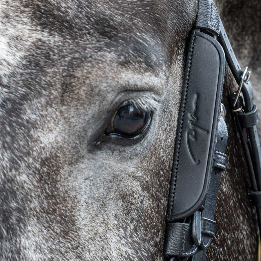 Focus / Blinkers 2 pieces Black