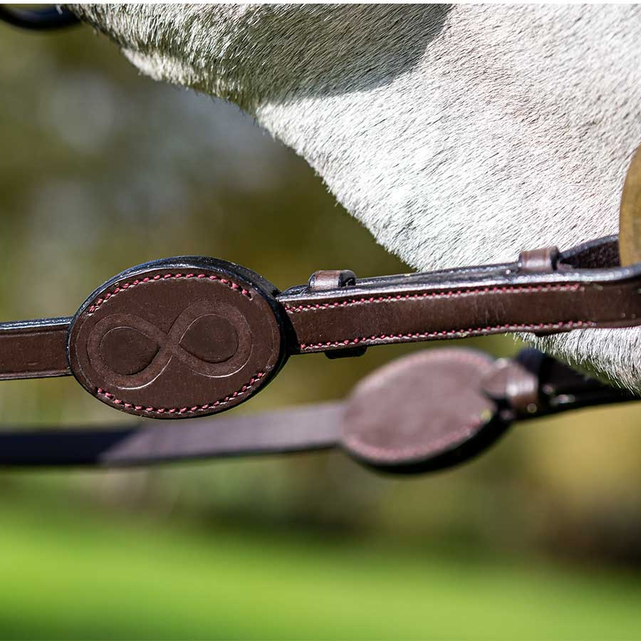 Web Reins 16mm LCC Brown