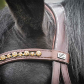 Browband E-Logo & Gold Crystals Brown/Silver Browband E-Logo & Gold Crystals Brown/Silver