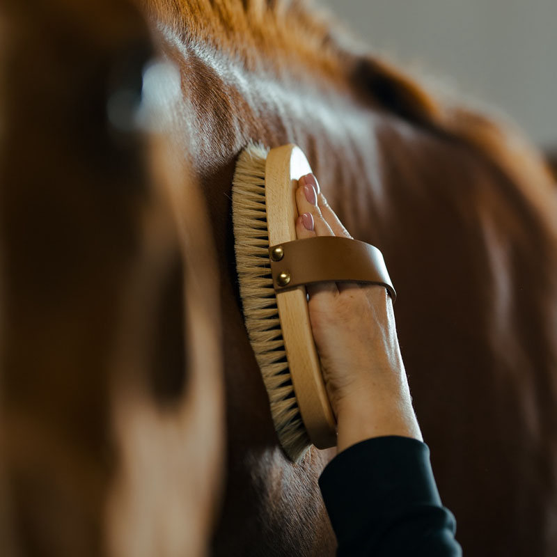 Grooming Brush with Leather Strap Tagel Brown