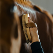 Grooming Brush with Leather Strap Tagel Brown Grooming Brush with Leather Strap Tagel Brown