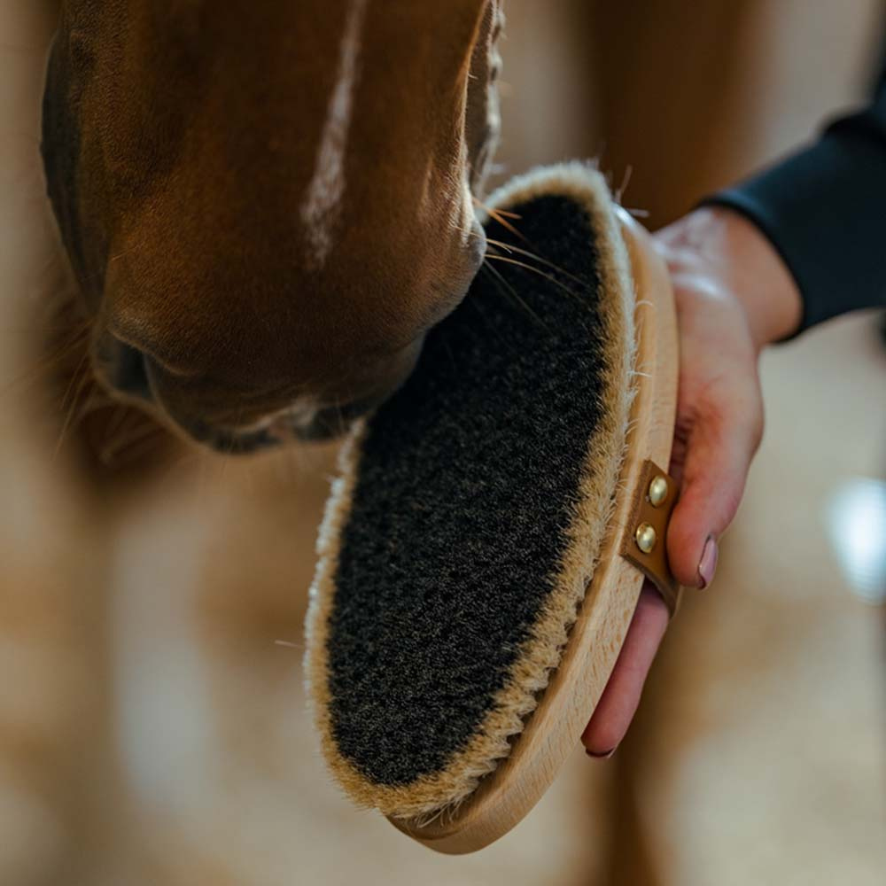 Grooming Brush with Leather Strap Tagel Brown