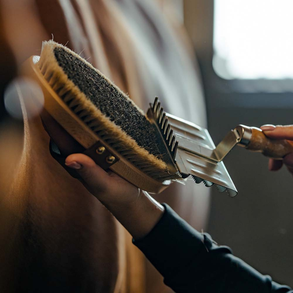 Grooming Brush with Leather Strap Tagel Brown