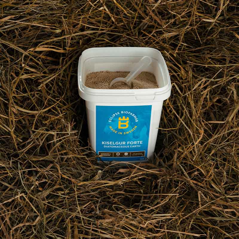 Diatomaceous Earth Forte 0.5kg