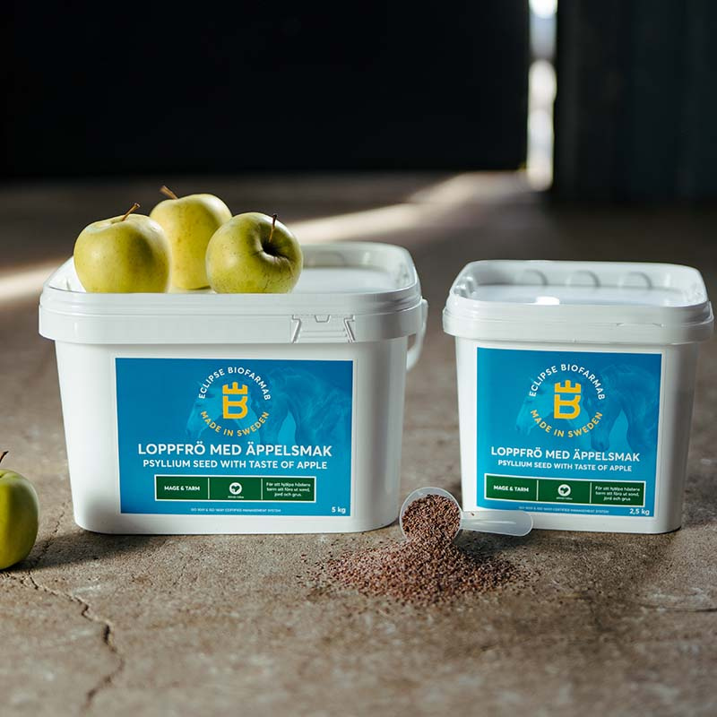 Psyllium Seeds Apple Flavor 5kg