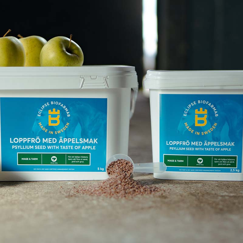 Psyllium Seeds Apple Flavor 5kg