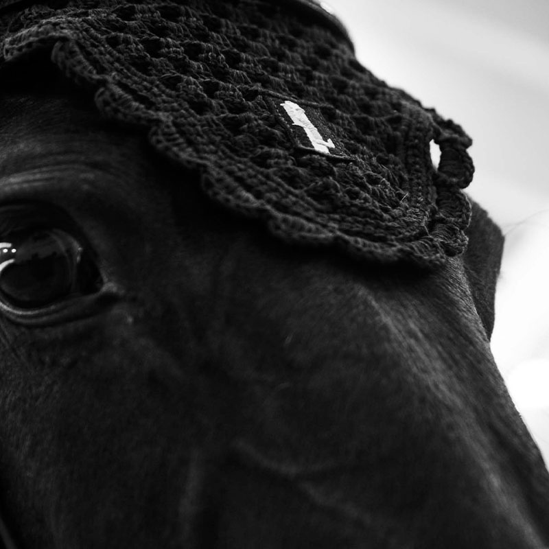 Ear Bonnet Classic Black