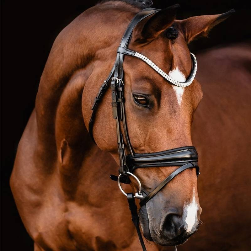 Dressage Bridle Isabell Werth Johnny Black