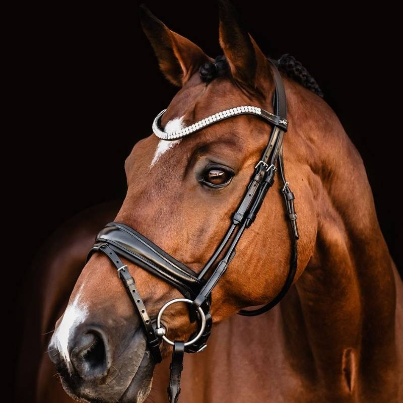 Dressage Bridle Isabell Werth Johnny Black