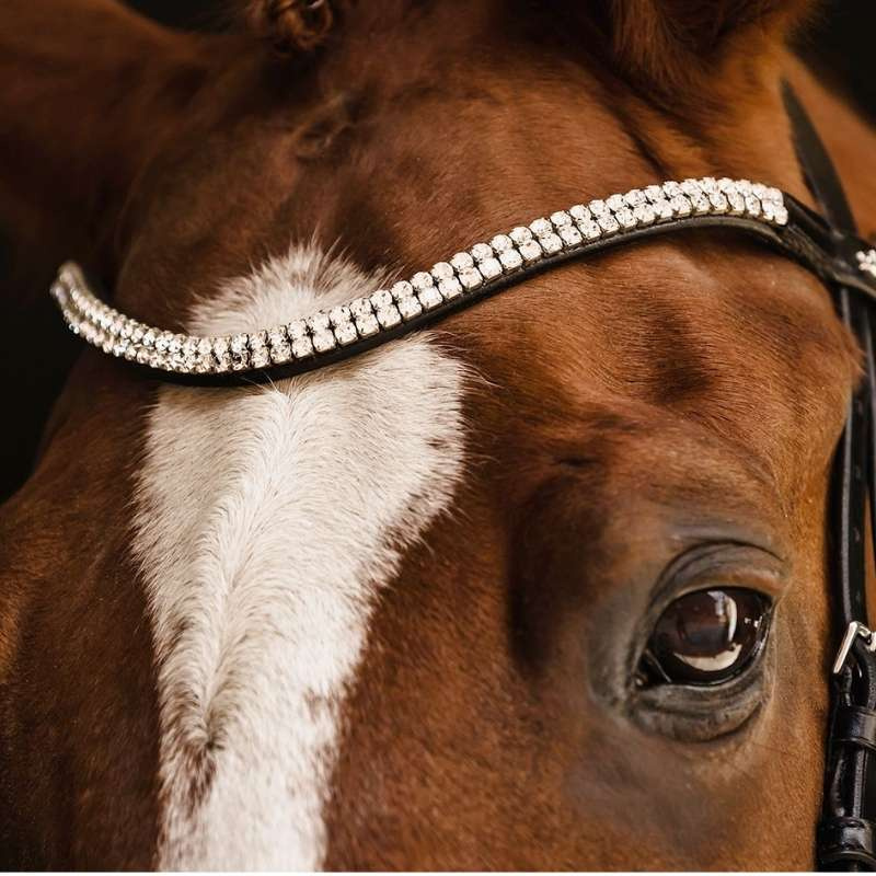 Dressage Bridle Isabell Werth Johnny Black