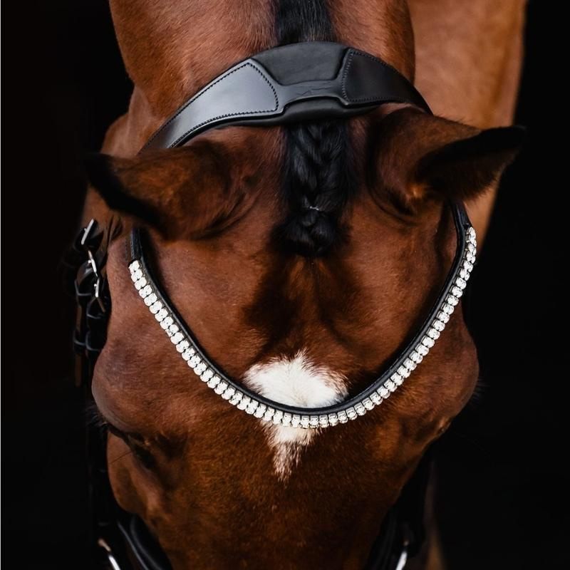 Dressage Bridle Isabell Werth Johnny Black