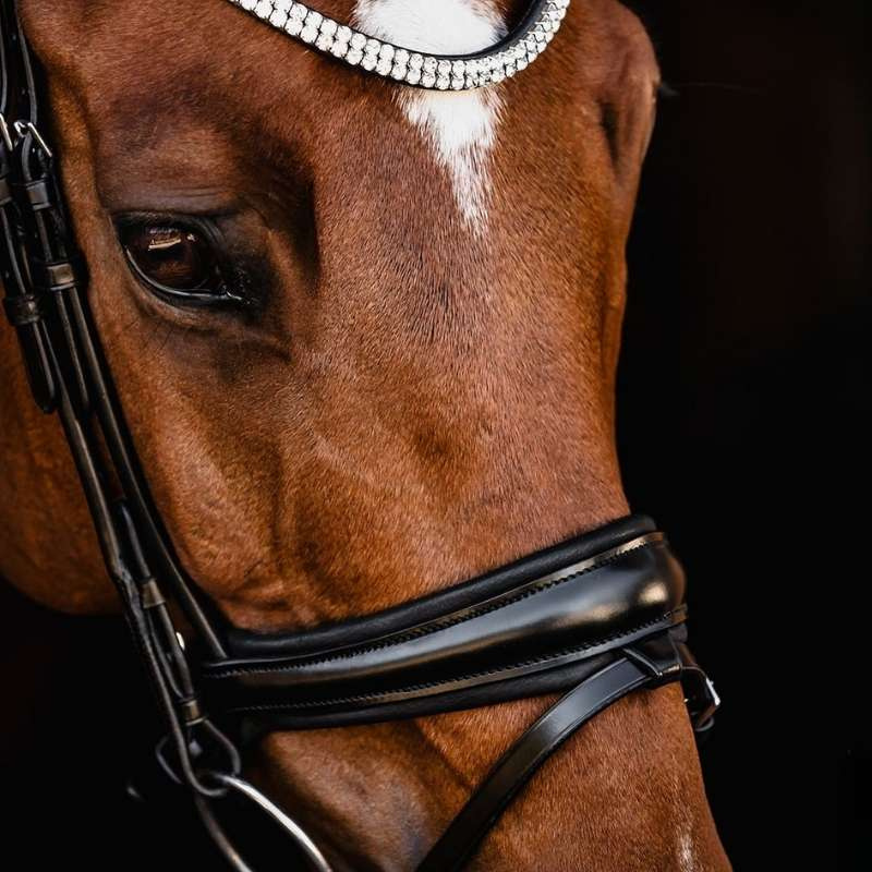 Dressage Bridle Isabell Werth Johnny Black