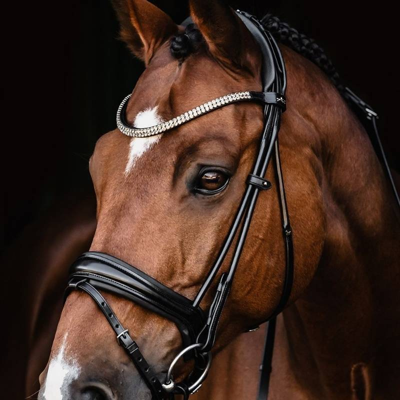 Dressage Bridle Isabell Werth Satchmo Black
