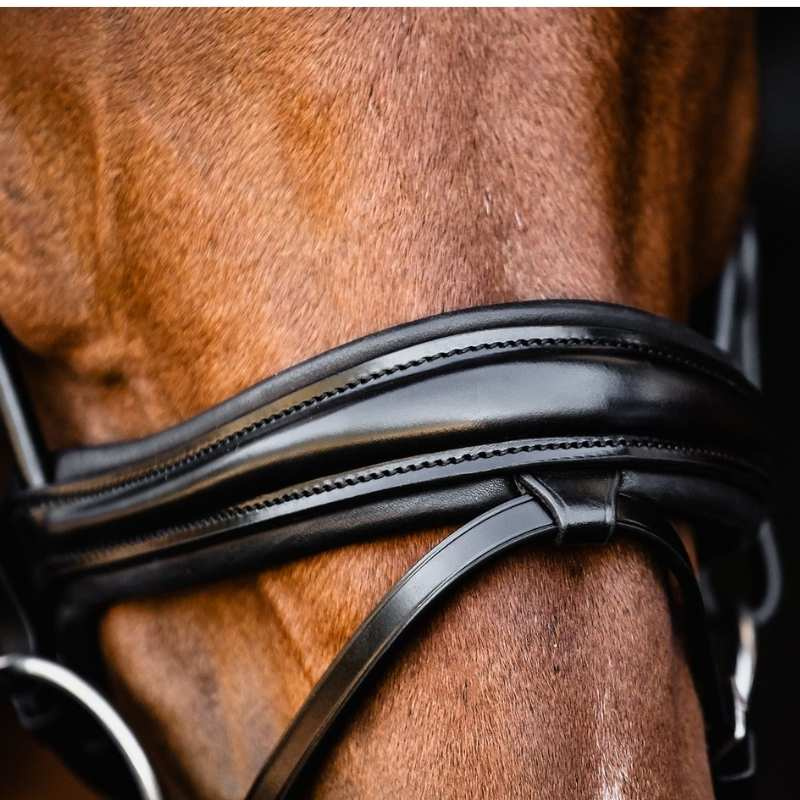 Dressage Bridle Isabell Werth Satchmo Black