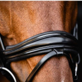 Dressage Bridle Isabell Werth Satchmo Black Dressage Bridle Isabell Werth Satchmo Black