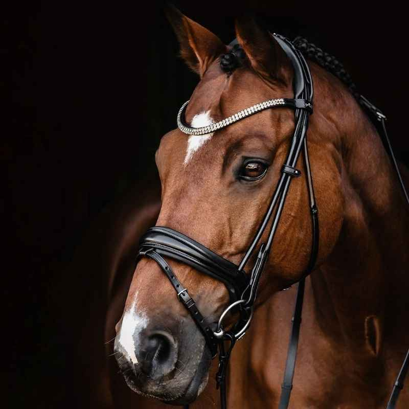 Dressage Bridle Isabell Werth Satchmo Black