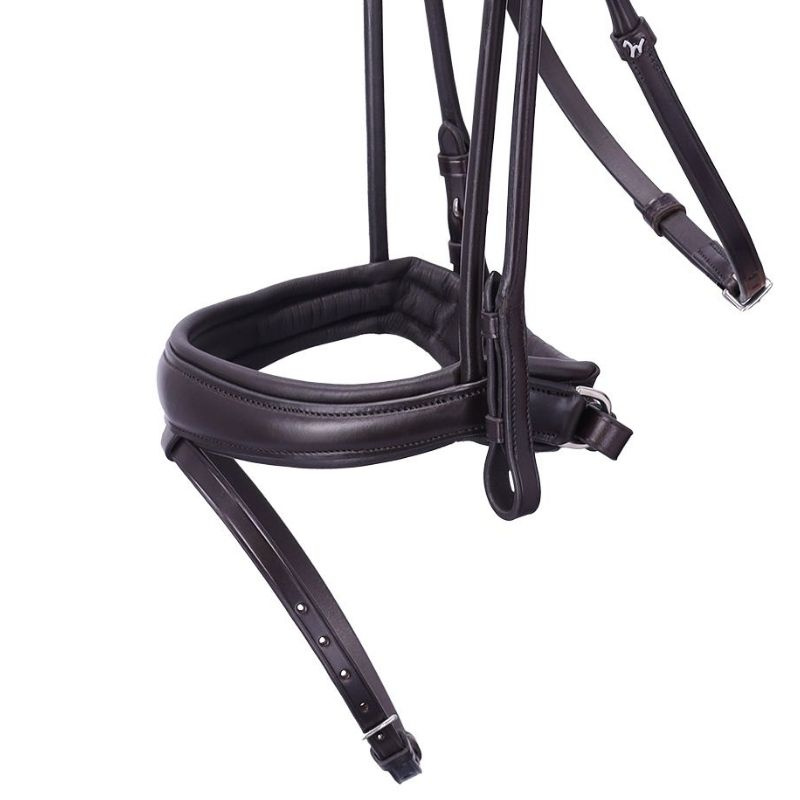Dressage Bridle Isabell Werth Satchmo Brown
