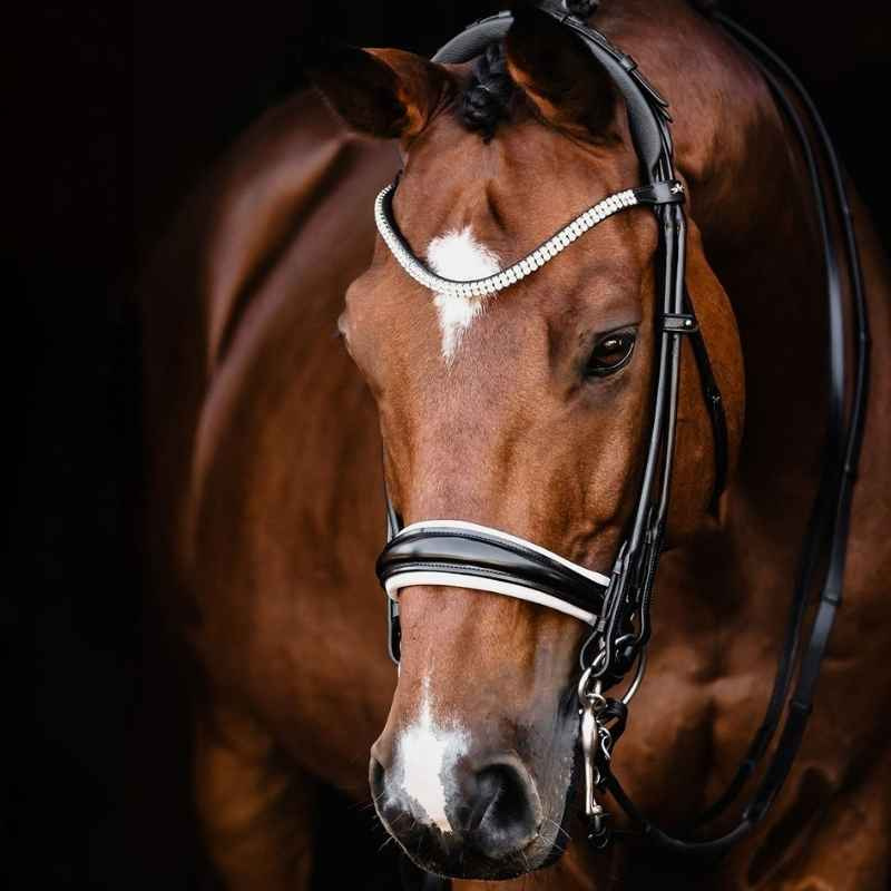 Double Bridle Isabell Werth Bella Rose Black/White