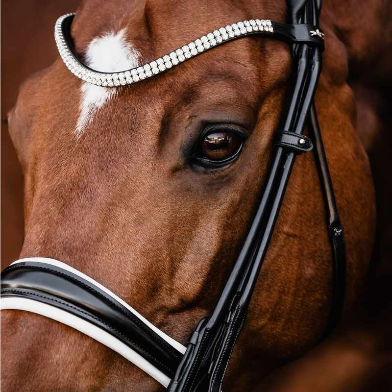 Double Bridle Isabell Werth Bella Rose Black/White