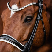 Double Bridle Isabell Werth Bella Rose Black/White Double Bridle Isabell Werth Bella Rose Black/White