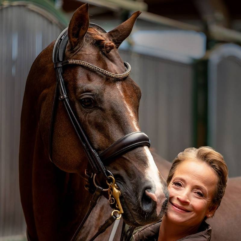 Double Bridle Isabell Werth Bella Rose Brown