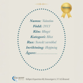 Hobby Horse Valentino Hobby Horse Valentino