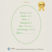 Hobby Horse Joline Hobby Horse Joline