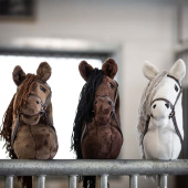 Hobby Horse Joline Hobby Horse Joline