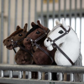 Hobby Horse Joline Hobby Horse Joline