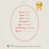 Hobby Horse Skylar Hobby Horse Skylar