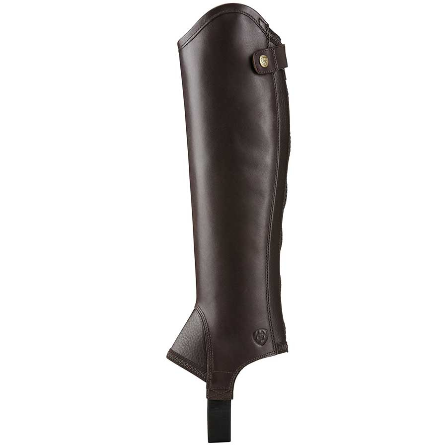Short Chaps Concorde Brown