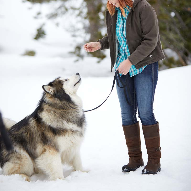 Boots Langdale H2O Brown