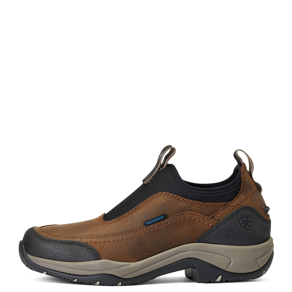 Stable Shoes Terrain Ease H2O Brown