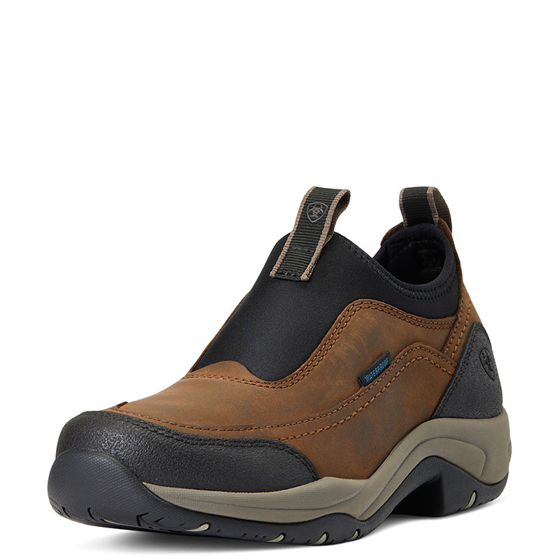 Stable Shoes Terrain Ease H2O Brown