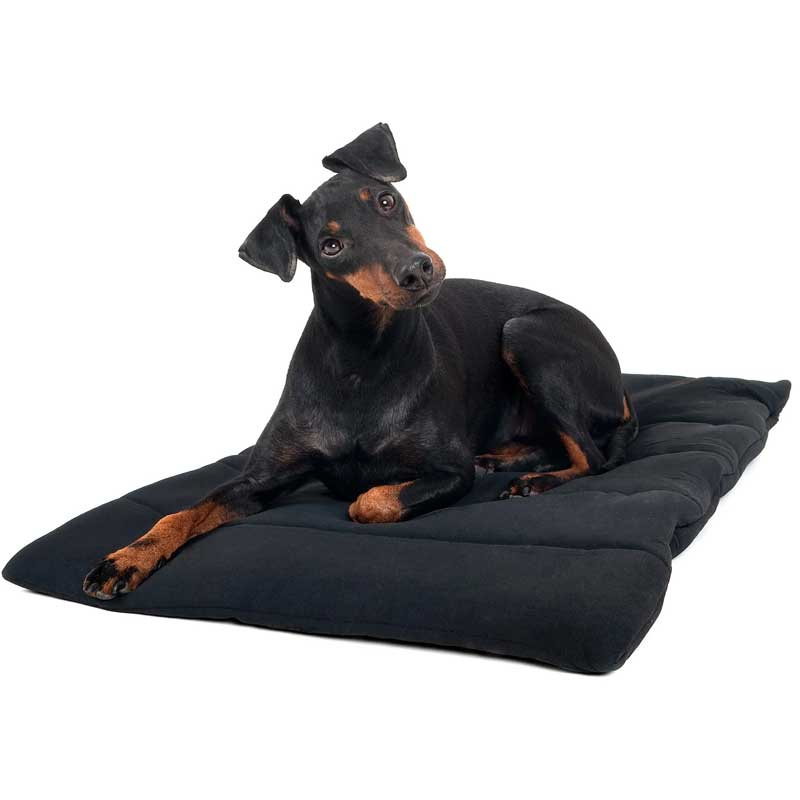 Mini Blanket Black 50x68cm