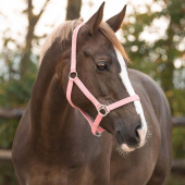 Halter Slide Light Pink Halter Slide Light Pink