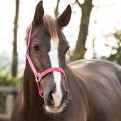 Halter Slide Fuchsia Halter Slide Fuchsia